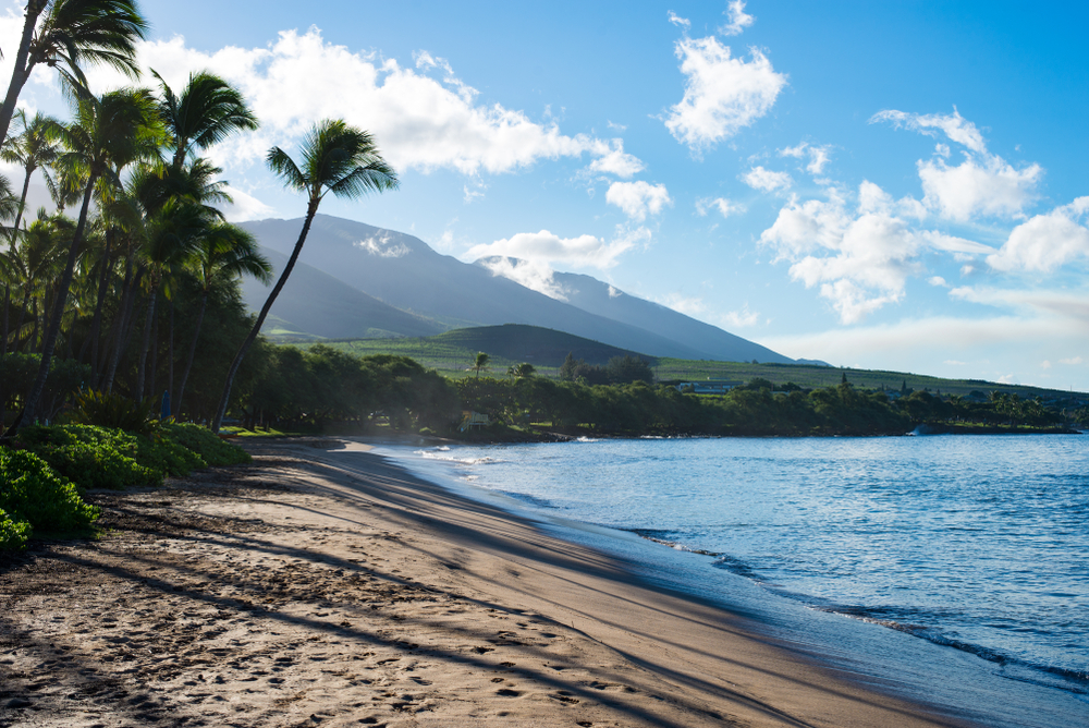 View of Lahaina Beach during the morning hours with palm trees and mountains in the distance on the island of Maui during the least busy time to visit Hawaii